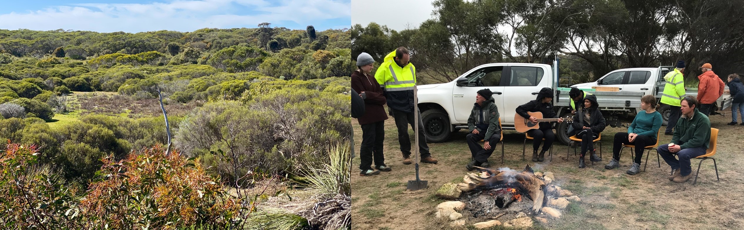 Low woodland and shrubland; meeting around a campfire with a guitar