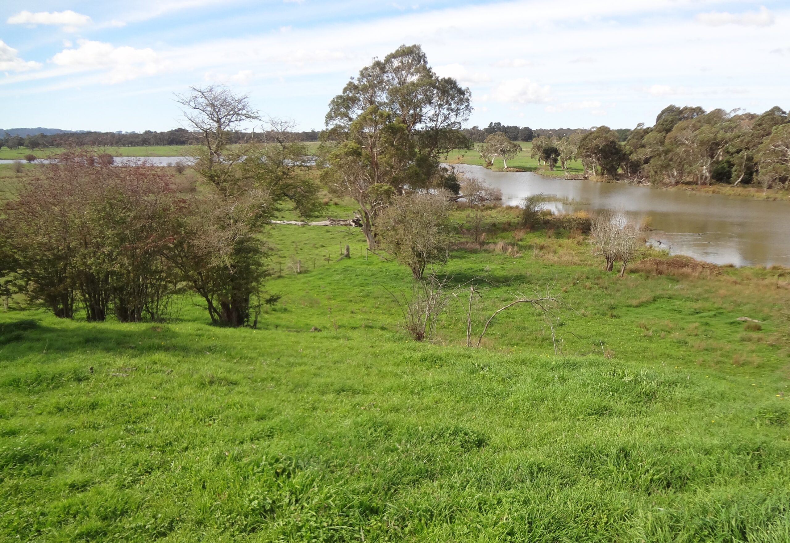 The corner planting site near the river before planting