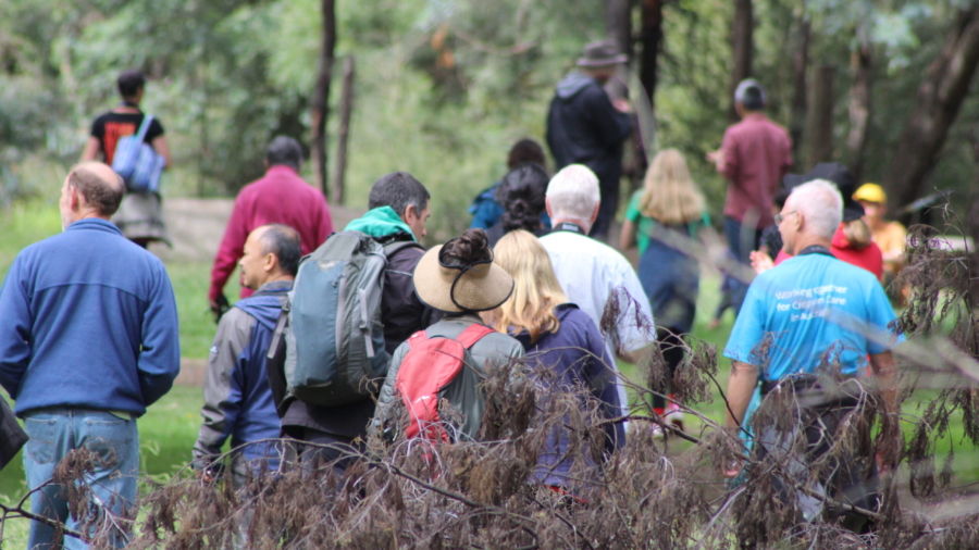 A crowd of people walking through the bushland at the Yea wetlands event.