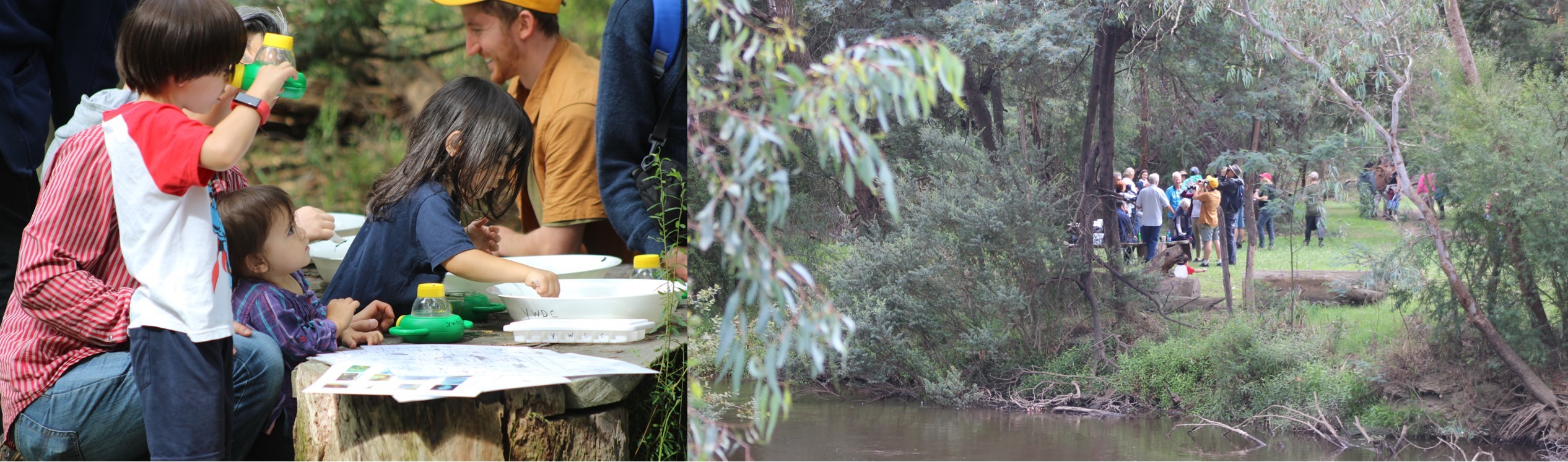 Photos of kids drawing at a table and the crowd in the bushland near Yea wetlands