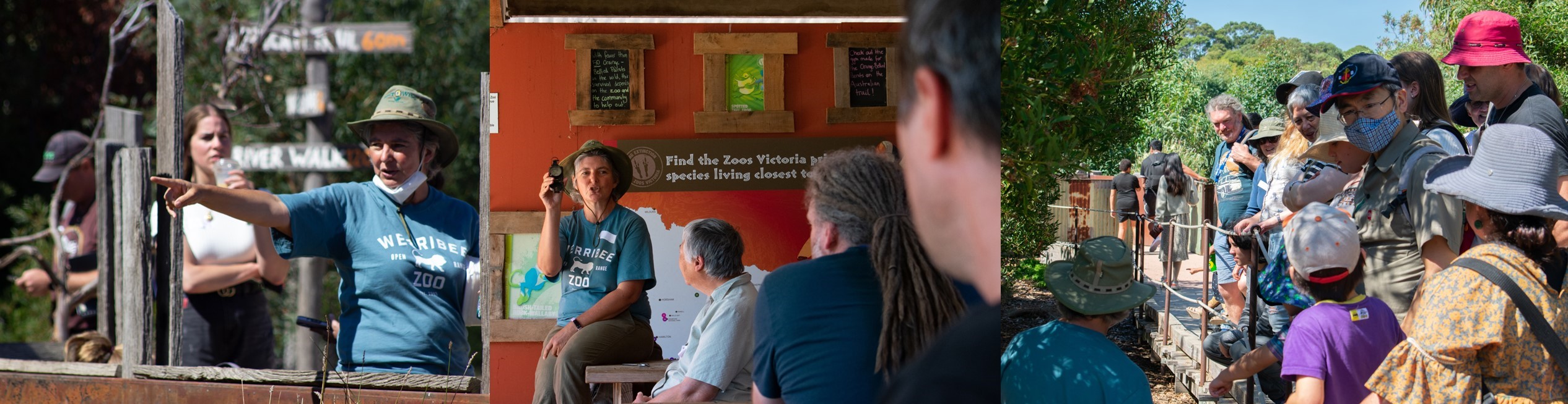 Photos of a tour guide talking to people at Werribee Open Range Zoo