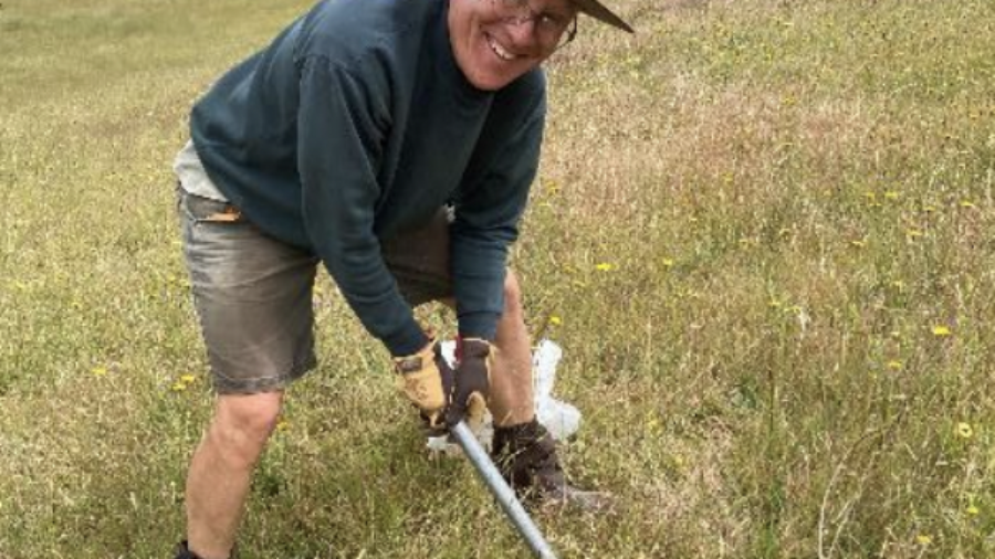 Greg Gorfine Pulling out Invasive Species demonstrating A Rocha Australia's commitment to creation care