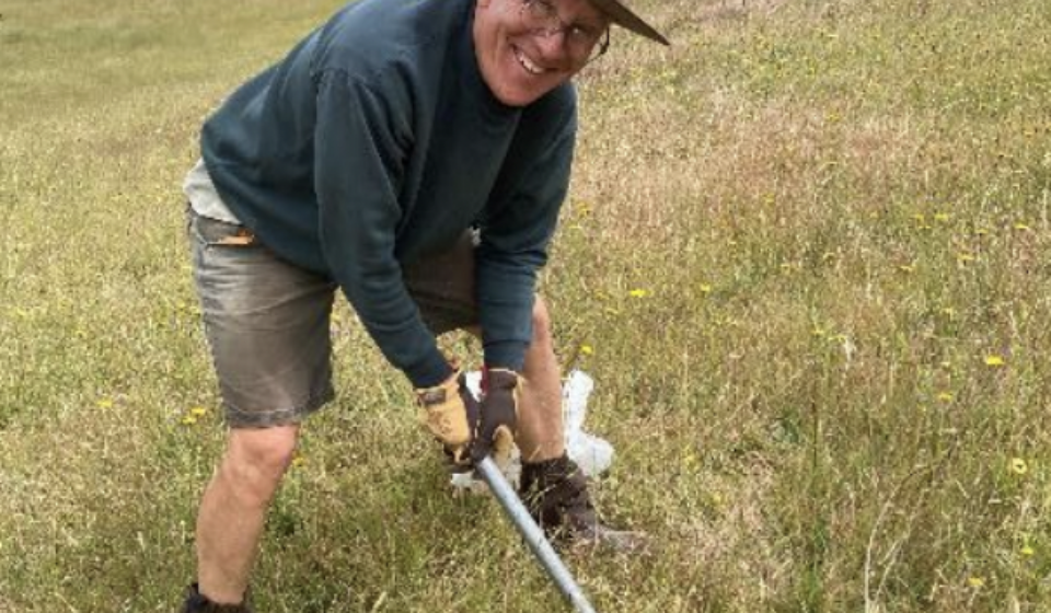 Greg Gorfine Pulling out Invasive Species demonstrating A Rocha Australia's commitment to creation care