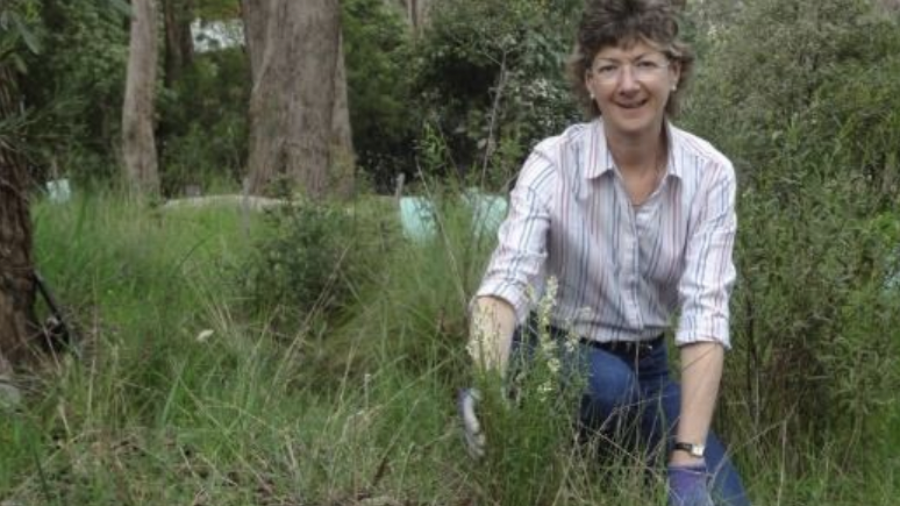 Sally Shaw removing invasive grasses through Creation Care