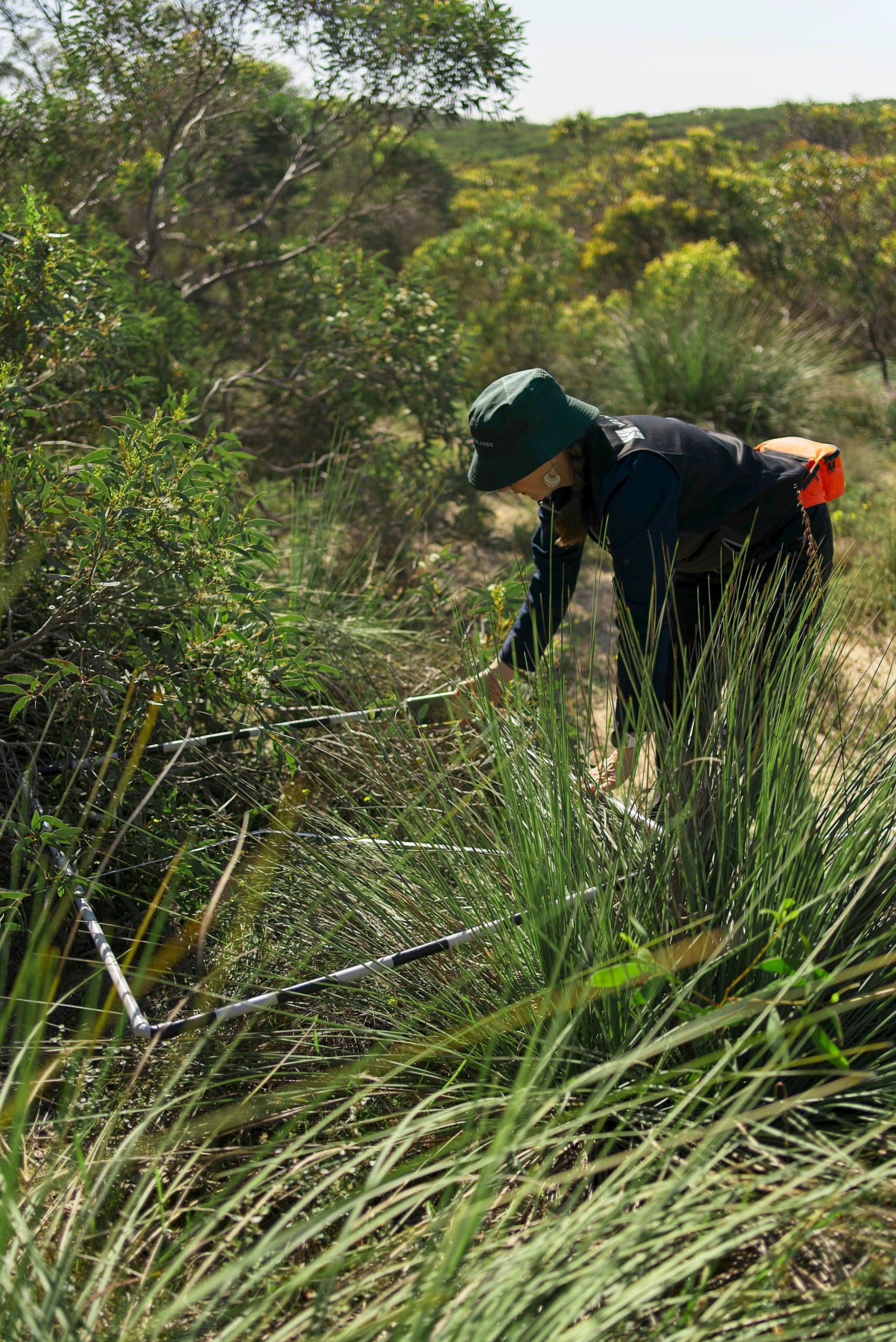 A woman conducting vegetation monitoring at Mount Sandy with a gradrant