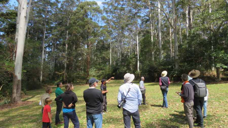 group at Mount Tamborine